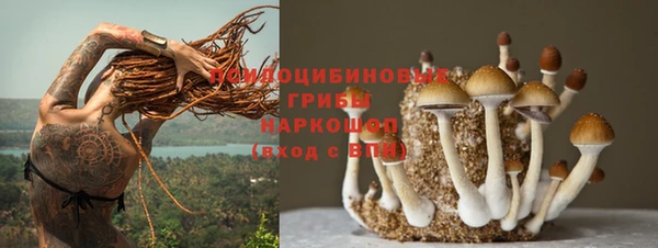винт Беломорск