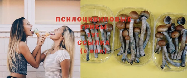 спиды Белоозёрский